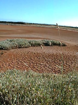 Terre de Marais