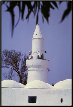 Mosquée algérienne
